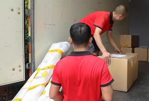 ���ų�;���